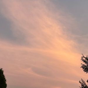 Meet your Posher, Candy